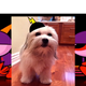 Image for article titled Wander Over Yonder steals Andy Daly, makes animated episode of Review, is excellent